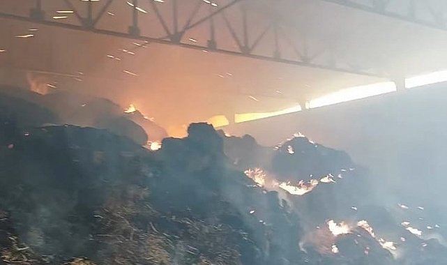 Manisa'da samanlık yangını: Binlerce balya saman kül oldu