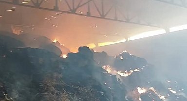 Manisa'da samanlık yangını: Binlerce balya saman kül oldu