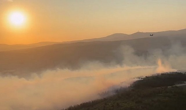 Manisa'daki orman yangınına müdahale tüm hızıyla devam ediyor