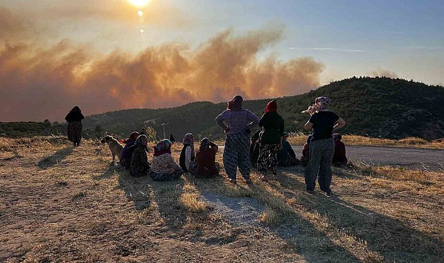 Manisa'daki orman yangınıyla ilgili son durumu Vali Özkan açıkladı
