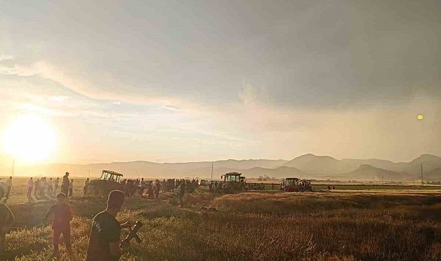 Mardin'de 350 dönüm ekili buğday tarlası yandı