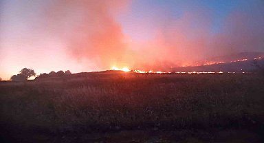 Mardin'de dağlık alanda çıkan yangın söndürüldü