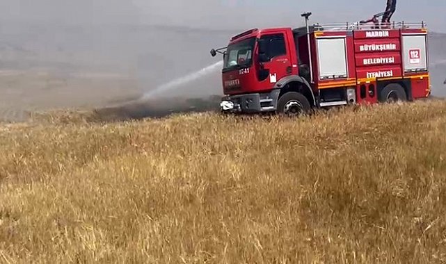 Mardin'de ekili arazide çıkan yangın söndürüldü
