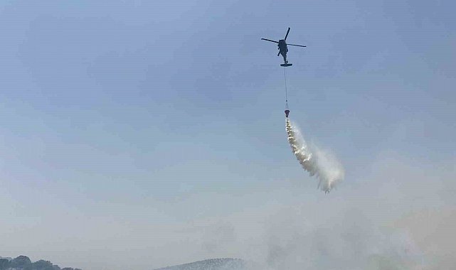 Mardin'de orman yangınına havadan ve karadan müdahale sürüyor
