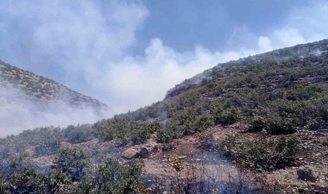Mardin'de ormanlık alanda çıkan yangına müdahale sürüyor