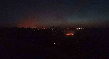 Mardin'deki orman yangını kontrol altına alındı