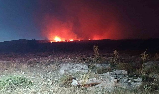 Menemen'de makilik alanda yangın
