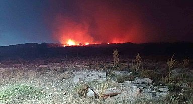 Menemen'de makilik alanda yangın