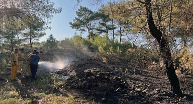 Menteşe yangını büyümeden söndürüldü