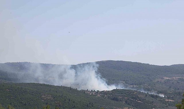 Menteşe'de çıkan yangın kontrol altına alındı