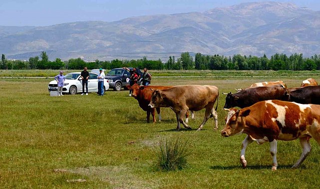 Meralarda su arama çalışmaları yapılıyor