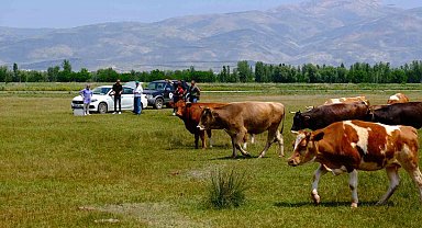 Meralarda su arama çalışmaları yapılıyor