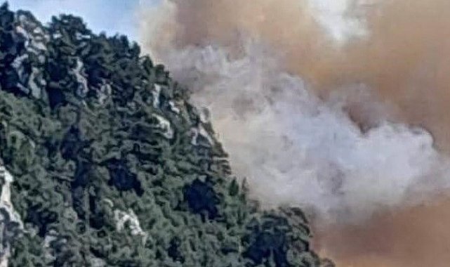 Mersin Bozyazı'da orman yangınına ekipler müdahale ediyor