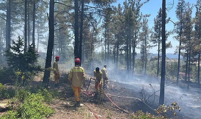 Mersin Gülnar'da orman yangını söndürüldü