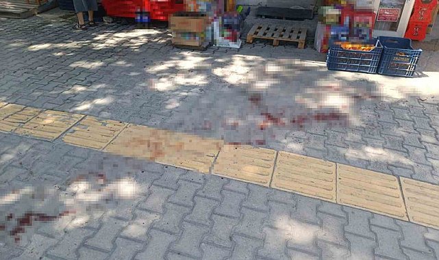 Mersin'de kavgada bir kişiyi bıçaklayan şüpheli tutuklandı