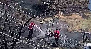Mersin'de kayısı bahçesinde yangın