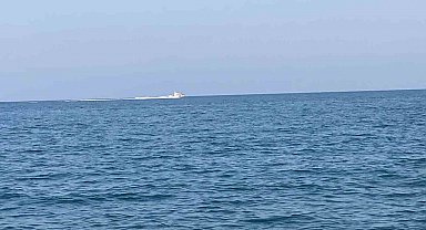 Mersin'de köpekbalığı tedirginliği