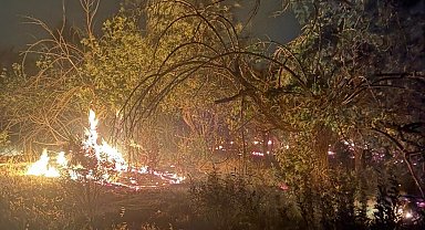 Mersin'de üç noktada çıkan yangın kontrol altına alındı