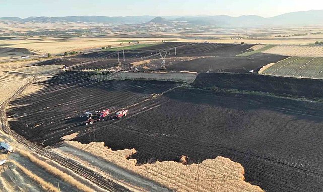 Merzifon'da 80 dönüm tarım arazisi yandı, yanan alan havadan görüntülendi