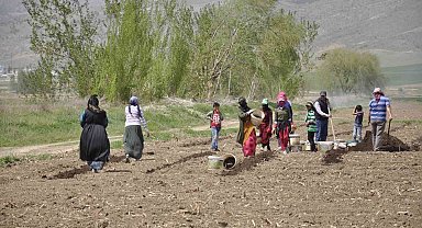 Mevsimlik tarım işçileri tarlalarda rızıklarını çıkarıyor
