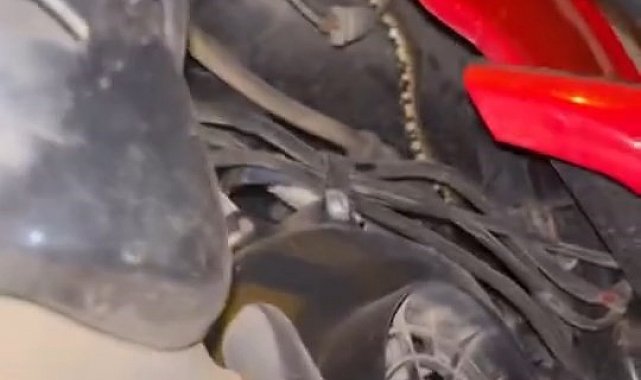 Motosikletin içine giren yılanı tek hamlede çıkardı