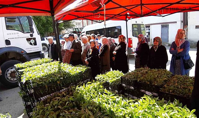 Mudurnu'da 108 bin fide dağıtıldı, çiftçiler akın etti