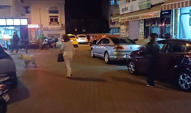 Muğla Valiliği: "Herhangi bir olumsuzluk yok, saha tarama çalışmaları sürüyor"