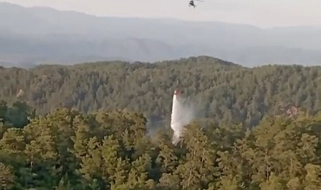 Muğla ve Aydın'daki orman yangınları büyümeden söndürüldü