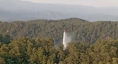 Muğla ve Aydın'daki orman yangınları büyümeden söndürüldü