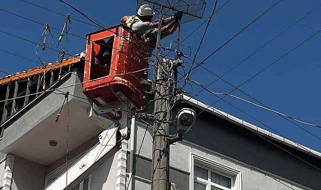 Muratlı'da leyleklere güvenli yuva desteği