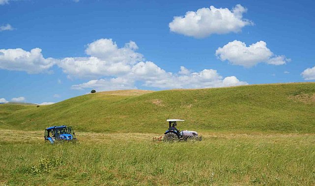 Muş'ta çiftçilerin ot biçme mesaisi başladı