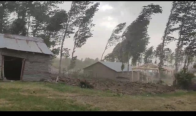 Muş'ta fırtına ağaçları ve elektrik direklerini devirdi