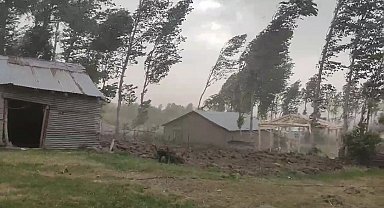 Muş'ta fırtına ağaçları ve elektrik direklerini devirdi