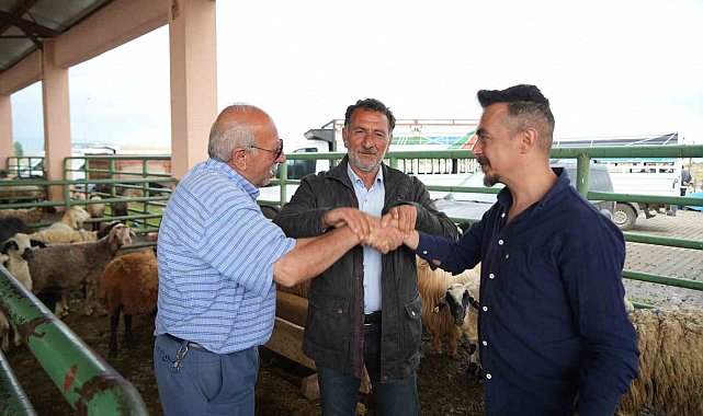 Muş'ta kurban pazarı hareketlendi: Sıkı pazarlıklar dikkat çekiyor