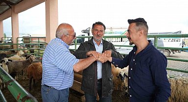 Muş'ta kurban pazarı hareketlendi: Sıkı pazarlıklar dikkat çekiyor