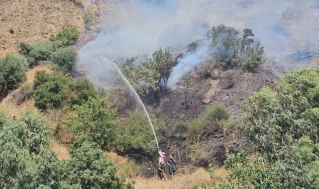 Nazilli'de bir yangın daha çıktı