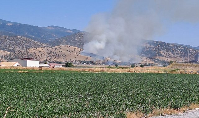 Nazilli'de zirai alan yangını