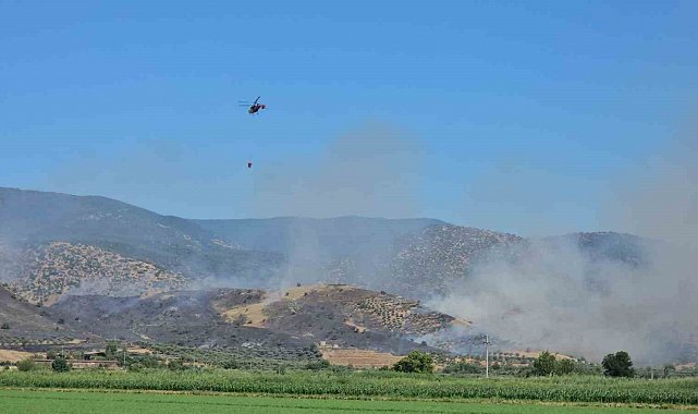 Nazilli'de zirai alan yangınına ekiplerin müdahalesi sürüyor