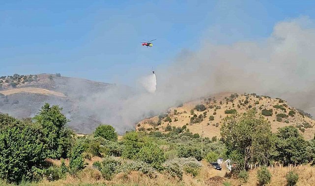 Nazilli'deki zirai alan yangını kontrol altına alındı