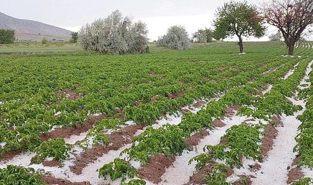 Nevşehir'de sel ve dolu tarım arazilerini vurdu