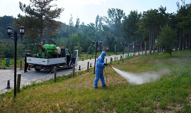 Niğde Belediyesi kene ve haşereyle mücadeleyi yoğunlaştırıyor