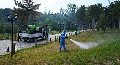 Niğde Belediyesi kene ve haşereyle mücadeleyi yoğunlaştırıyor