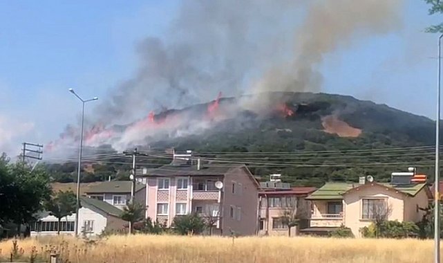 Niksar'da orman yangını, ekiplerin müdahalesi sürüyor