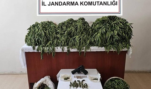 Nusaybin'de uyuşturucu operasyonu: 4 gözaltı