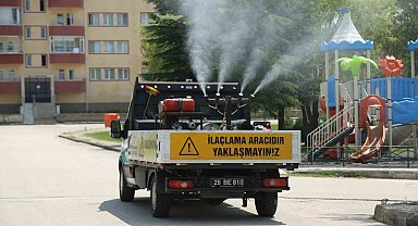 Odunpazarı Belediyesi'nden kenelere karşı etkili mücadele