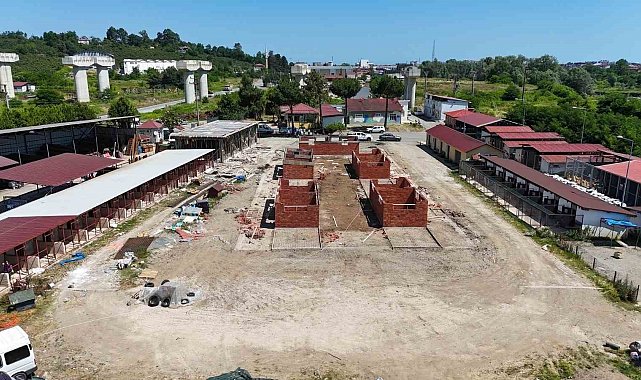 Ordu'da sokak hayvanlarına modern yaşam alanı