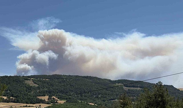 Orman yangınında itfaiyecilerin ölüm kalım savaşı: "Geri çık ağabey yanacağız"