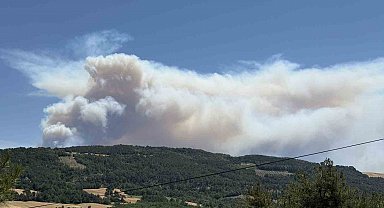 Orman yangınında itfaiyecilerin ölüm kalım savaşı: "Geri çık ağabey yanacağız"