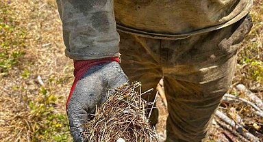 Ormanın sessiz sakinlerine de kalkan oldular: Yangının ortasından kuş yuvası kurtarıldı