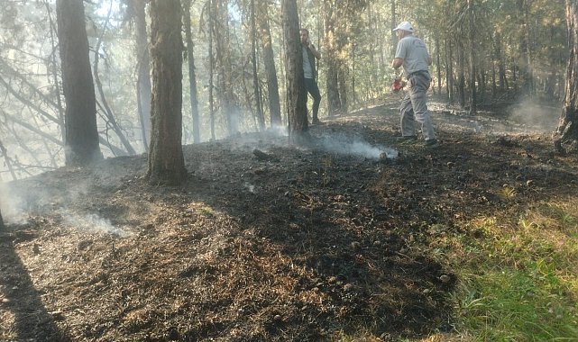 Ormanlık alandaki örtü yangını zamanında müdahaleyle söndürüldü